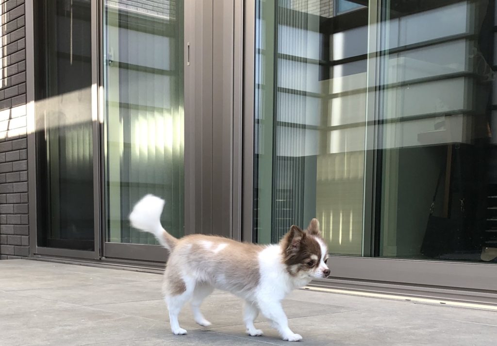 フラットテラス